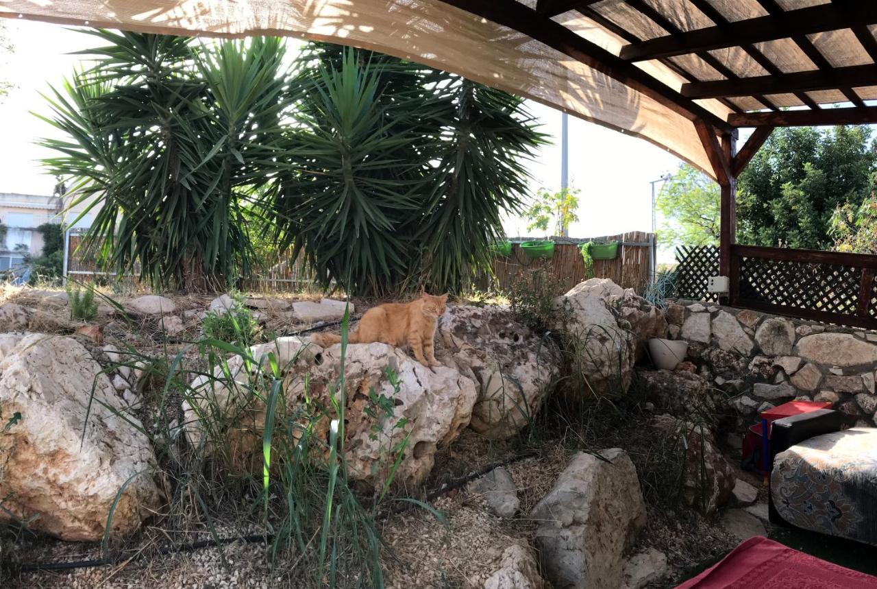 Panorama Kinneret נוף כנרת, צפת Eksteriør billede